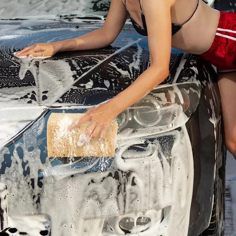 Éponge de lavage de voiture gr - Car Detailing Brush avis et prix